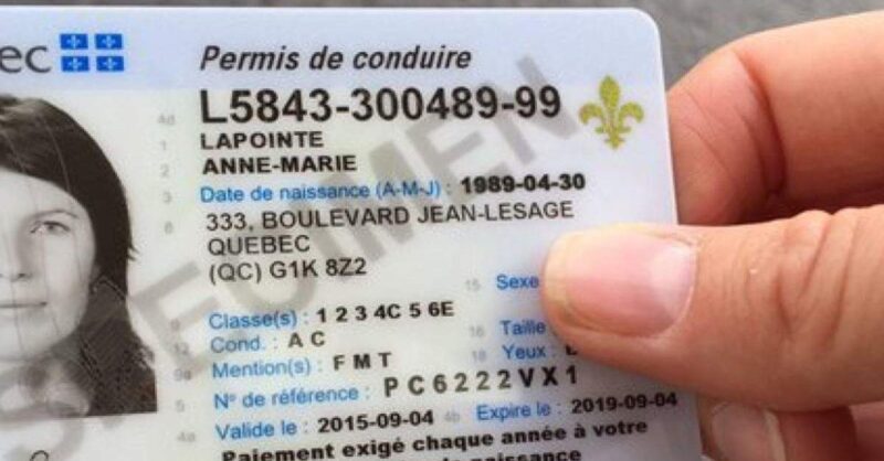 Quebec Drivers License Everything You Need To Know