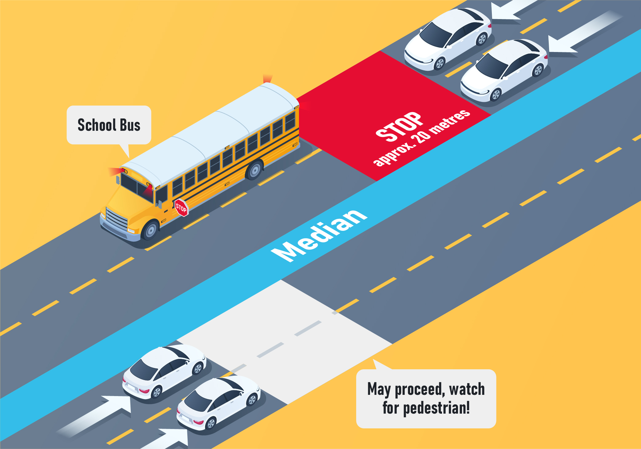 Sharing the Road - Which lanes need to stop for a school bus on a highway that is divided by a median?