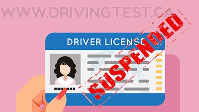 Test 4 - If someone under the Manitoba Code of Conduct is convicted of a driving-related offense, when will their license suspension begin?