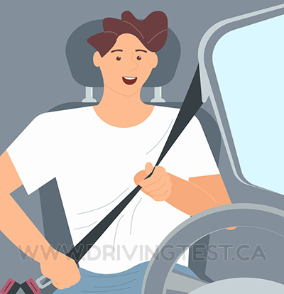 Driving Test Canada Test 3 - By how much does wearing a seatbelt decrease chances of fatality or serious injury in a collision?