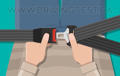 Test 3 - What area of your body should the lap portion of your seatbelt fit over?